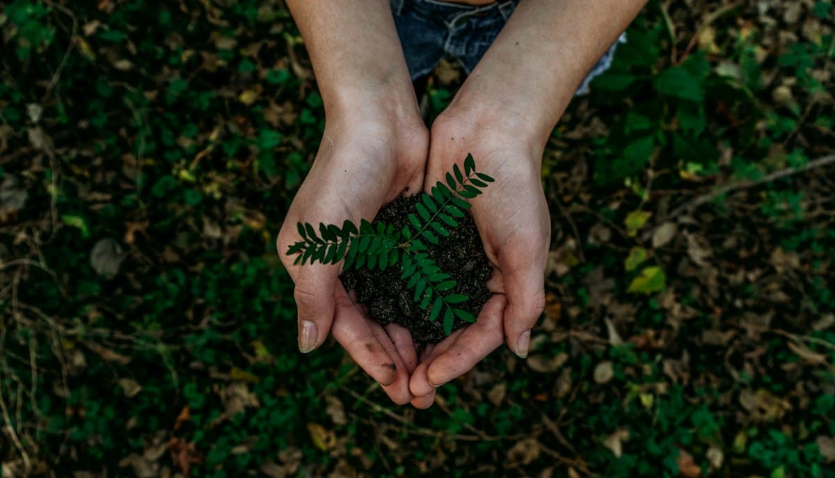 Climate Resilience & Adaptation